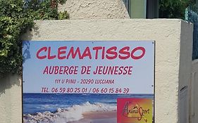 Clematisso